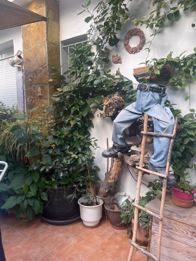 Eleonora'S Hidden Gem Appartement Athene Buitenkant foto